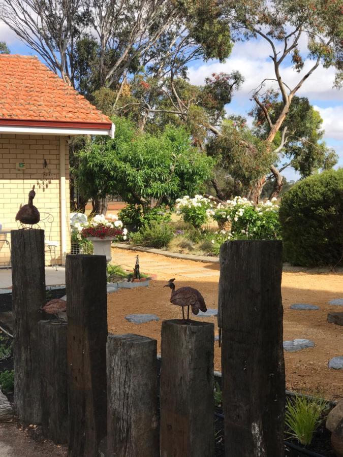 Yellow Gum Bed And Breakfast Katanning Luaran gambar