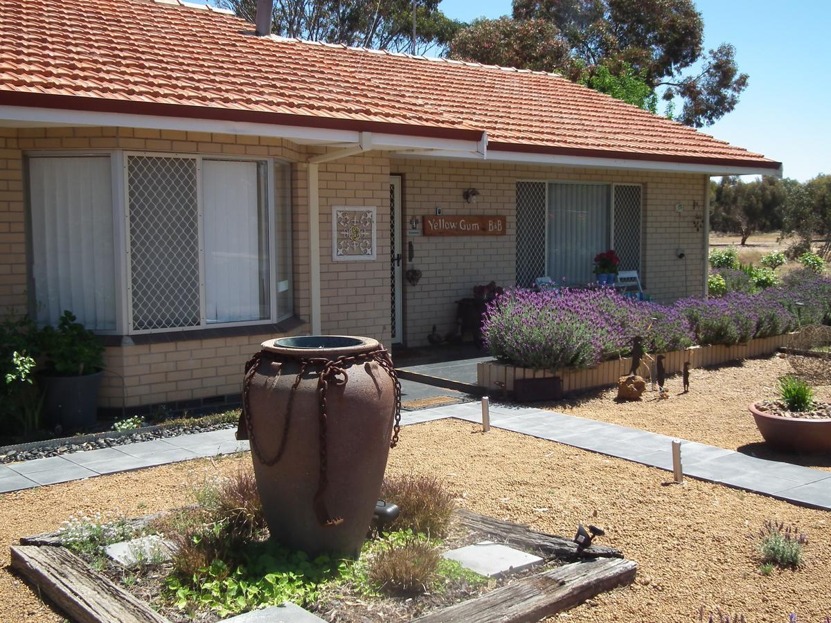Yellow Gum Bed And Breakfast Katanning Luaran gambar