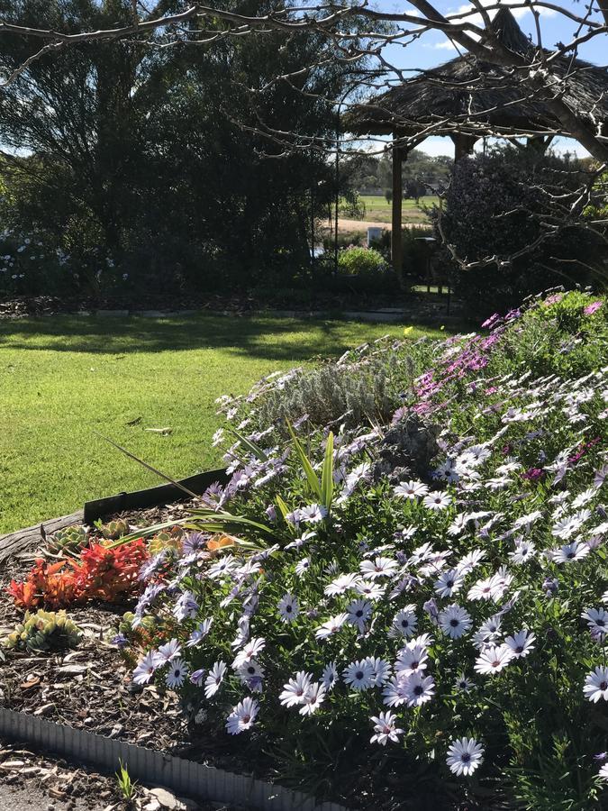 Yellow Gum Bed And Breakfast Katanning Luaran gambar